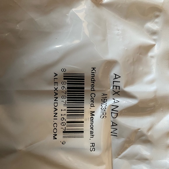 Alex and Ani Menorah Bracelet - Picture 2 of 2